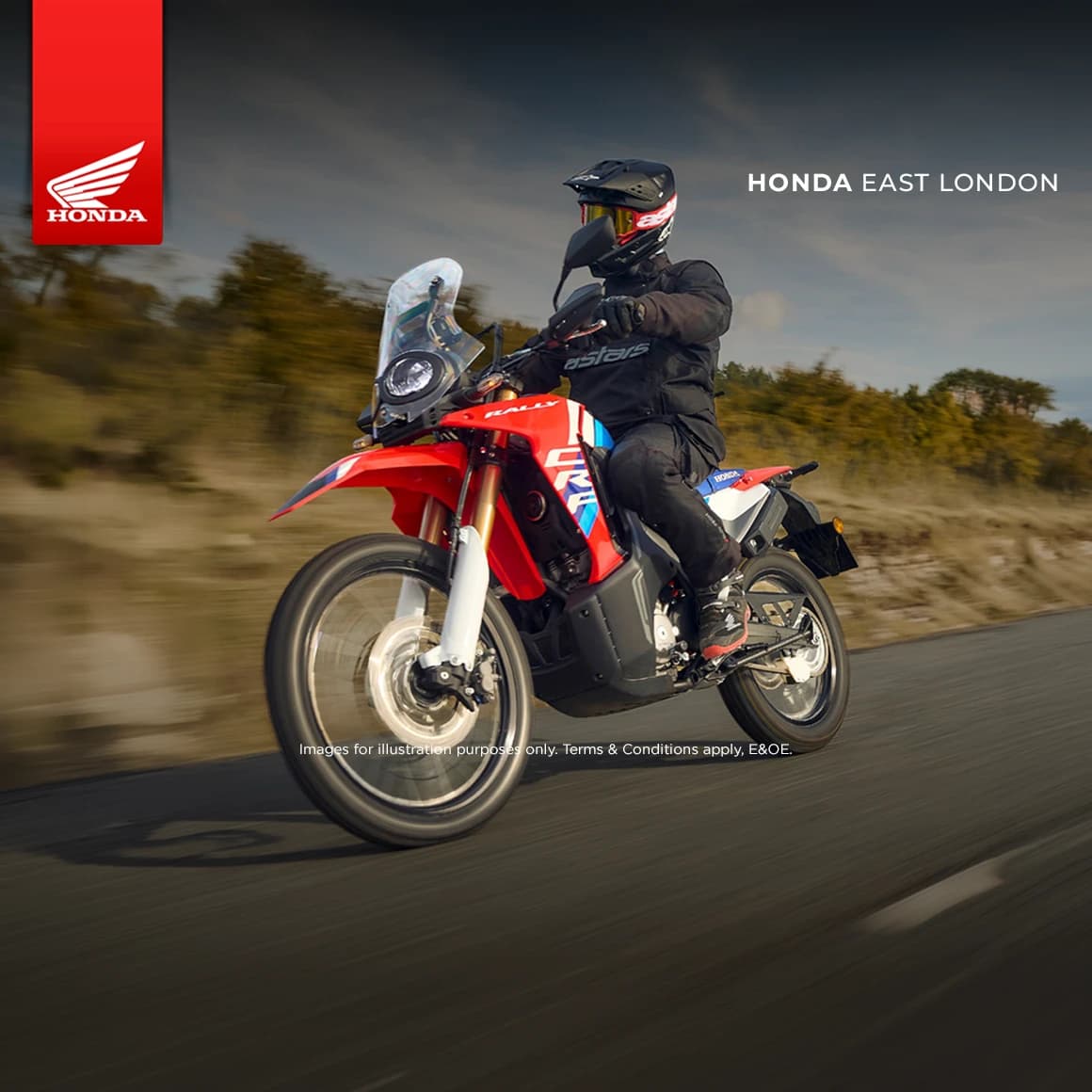 Honda Wing CRF300R Rally