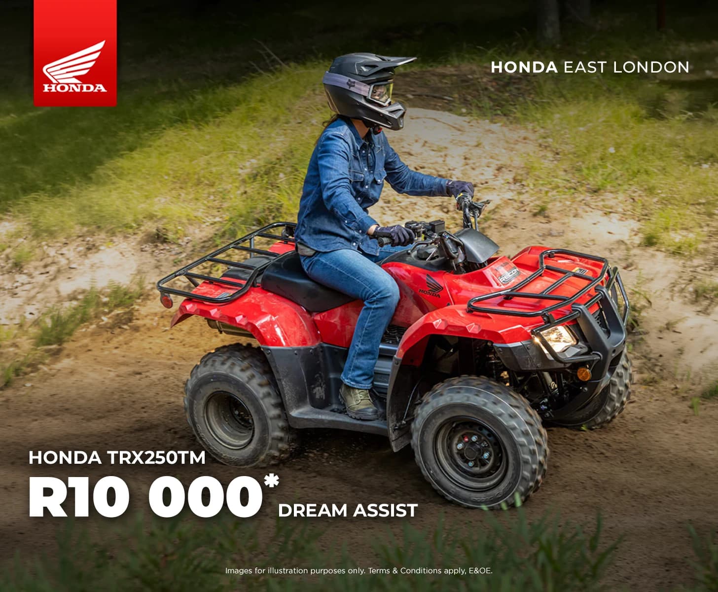 Honda Wing Trx 250 Tm