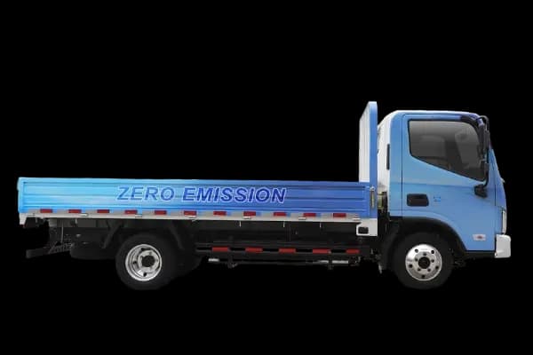 Foton eAumark