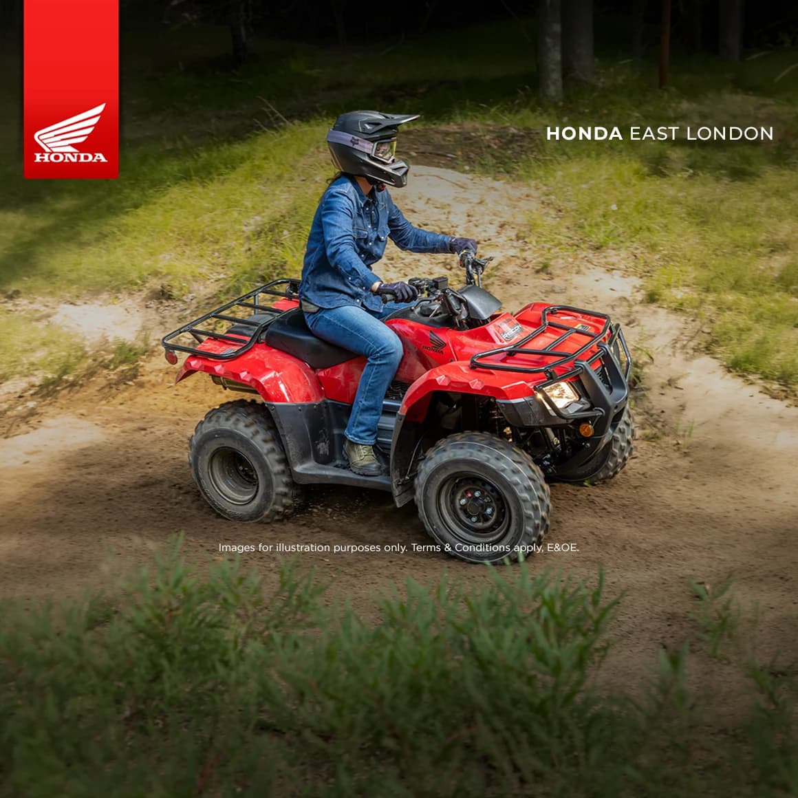 Trx 250 Tm