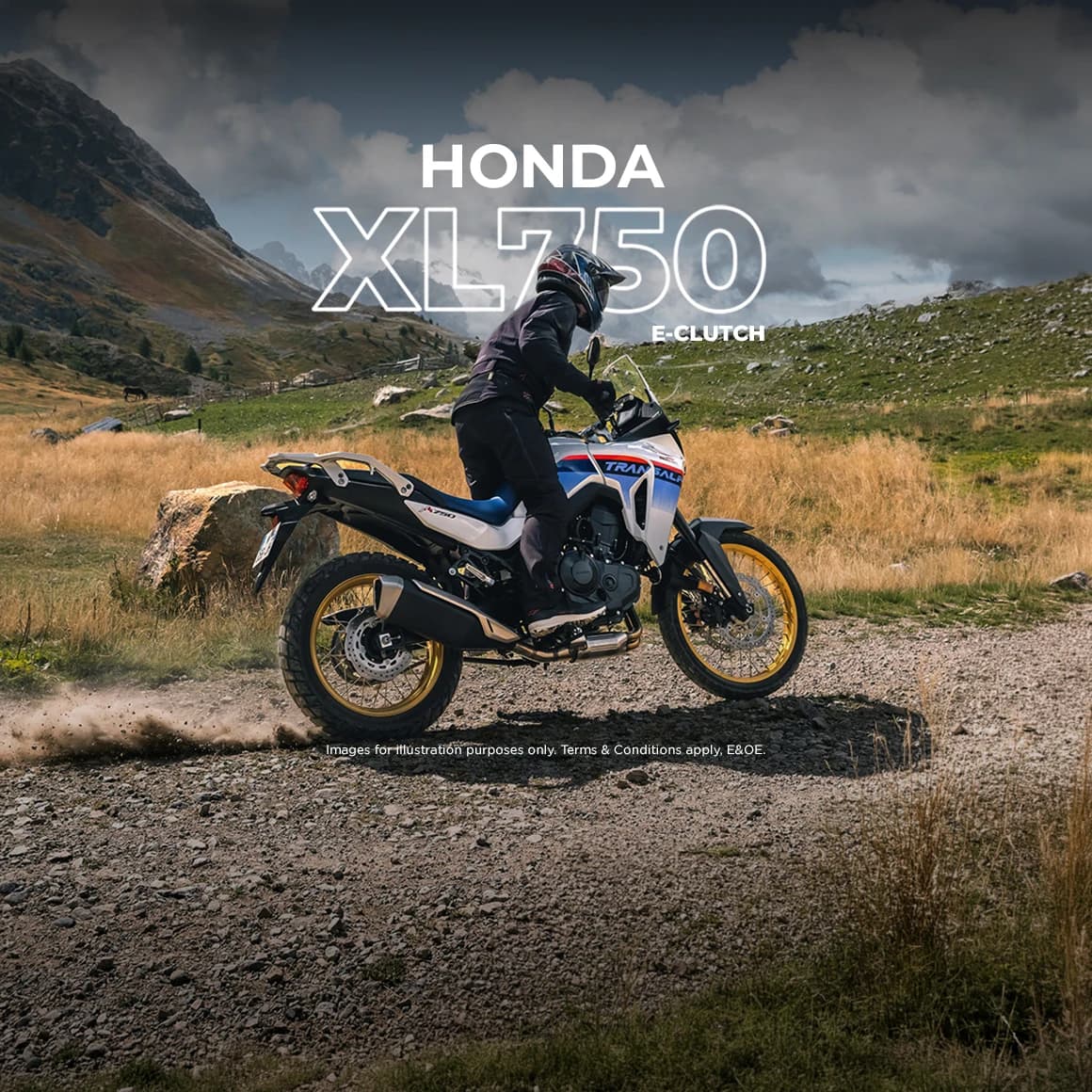 Honda Wing Transalp 750 (e-clutch)